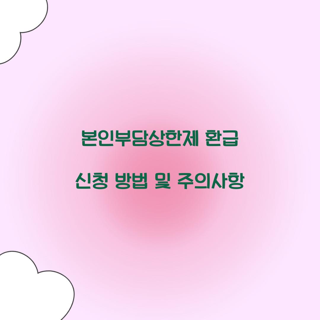 본인부담상한제 환급