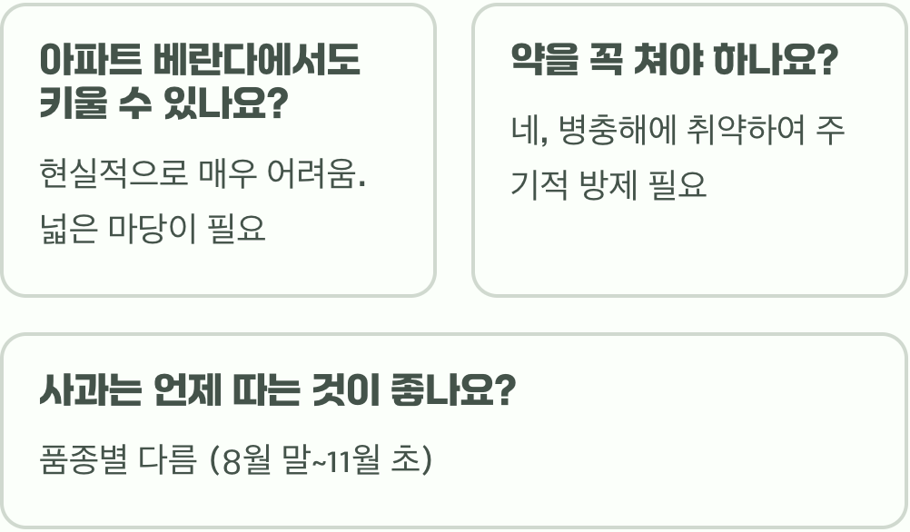 사과나무 키우기 A to Z (묘목 심기부터 가지치기, 수확까지)