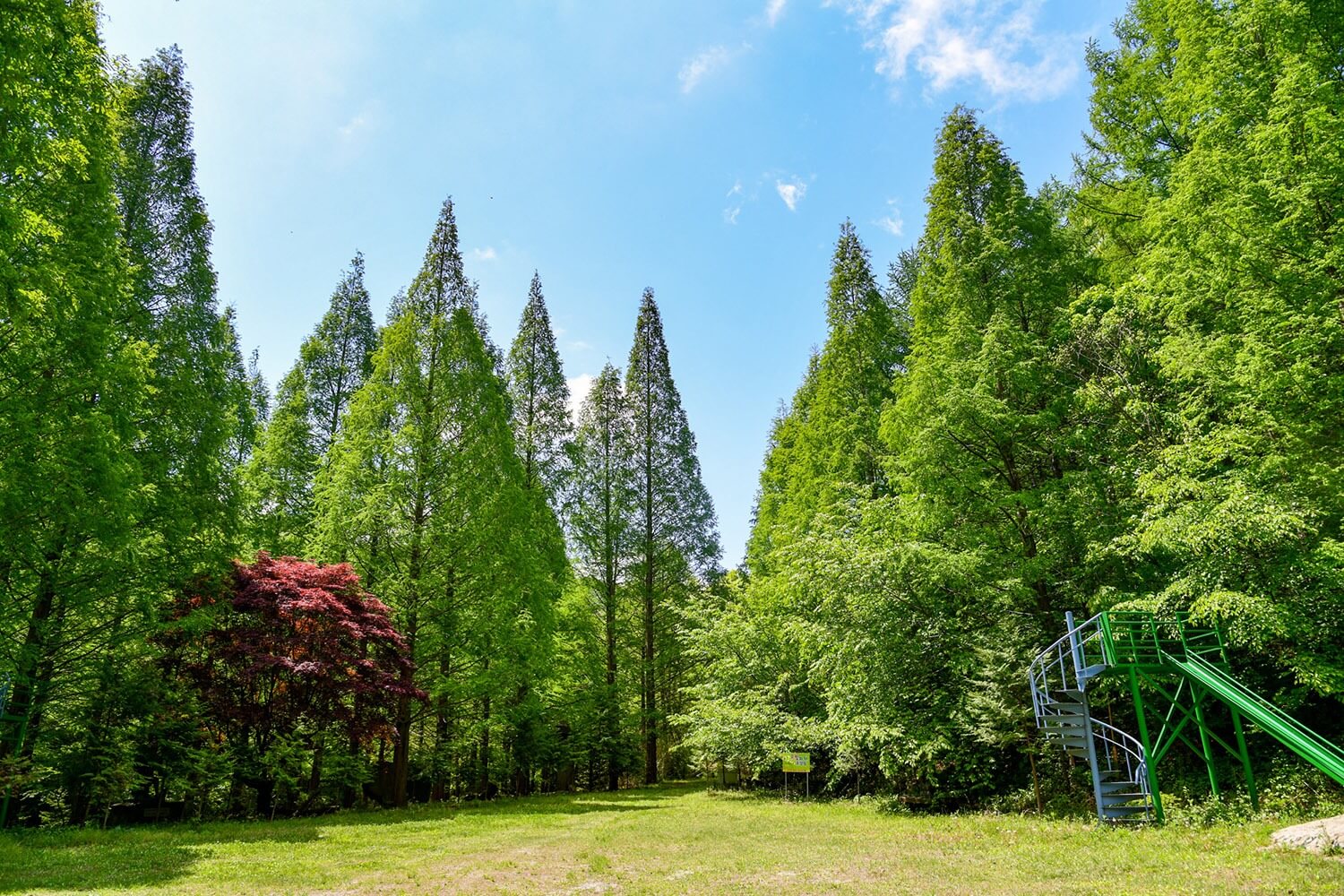 논산 온빛자연휴양림 단풍 명소 예약