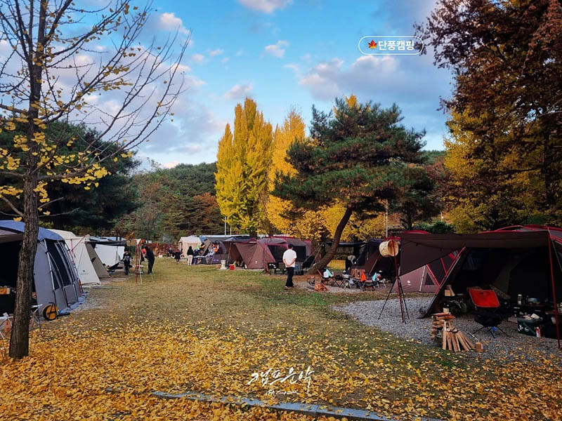 포천 캠프운악 캠핑장 소개