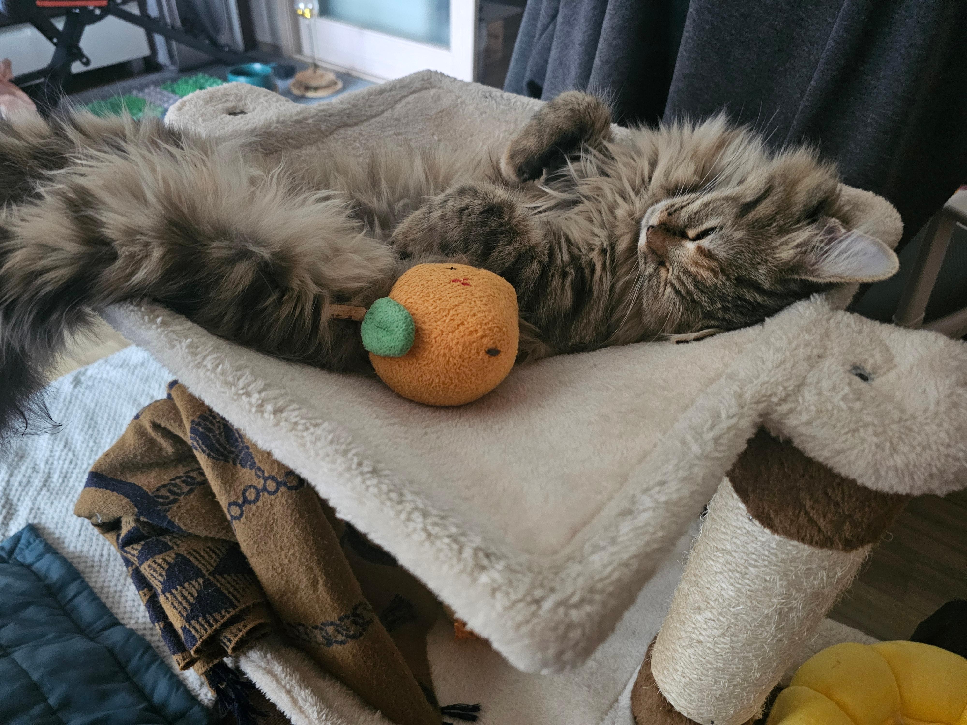 홈 케어 가이드