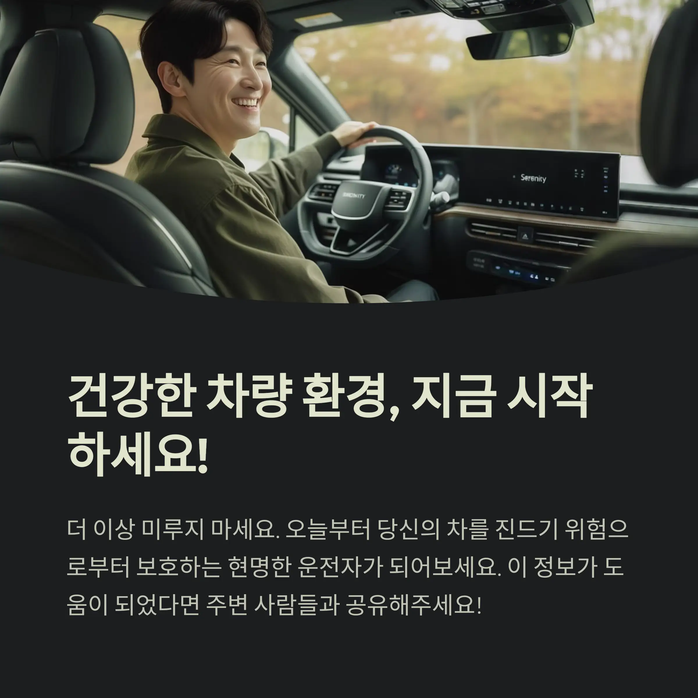 차량 진드기 제거 정보