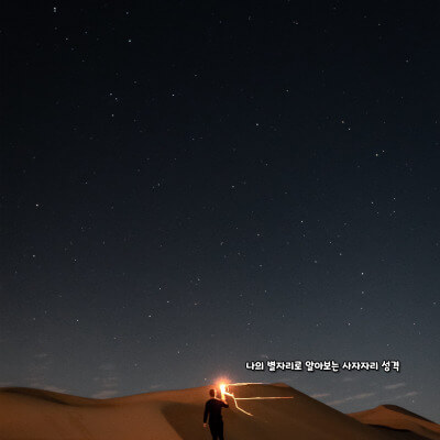 나의 별자리로 알아보는 사자자리 성격