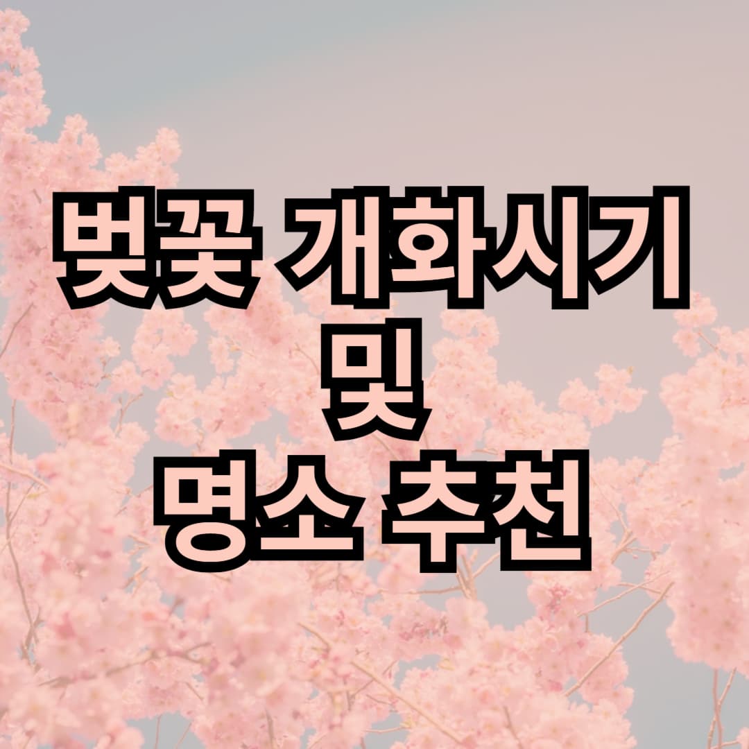 벚꽃 개화 시기 및 명소 추천