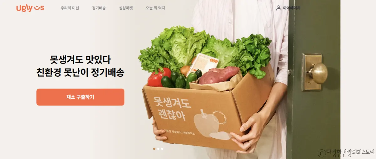 자취생-건강한-집밥- 채소-배송-플랫폼-어글리어스