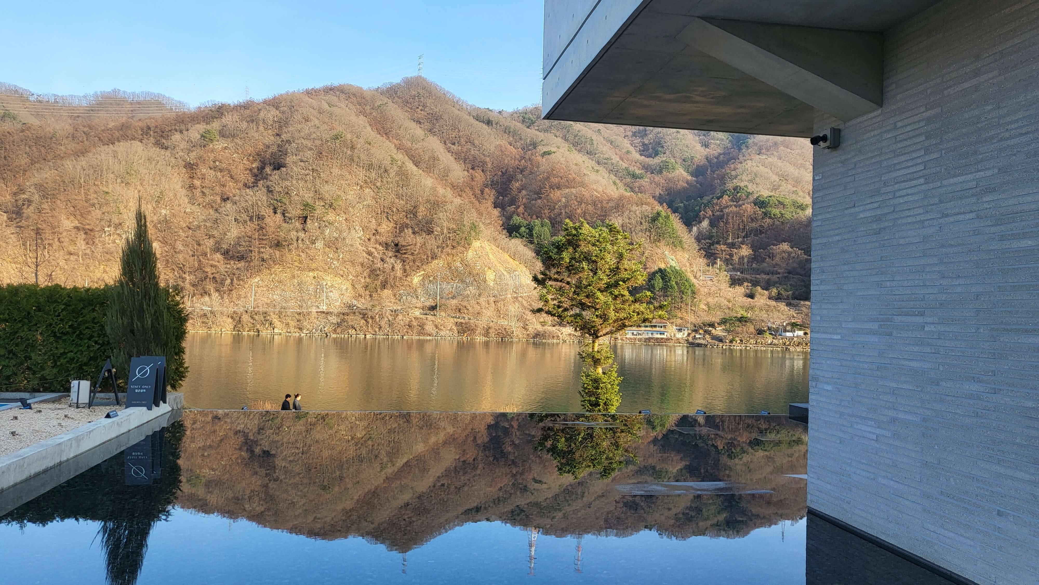 가평 리버뷰 카페 골든트리