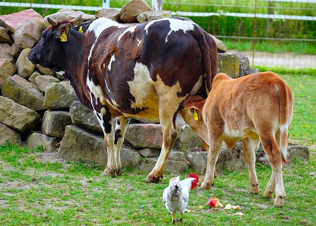 정부 농축산물 할인지원 정부 농축산물 할인지원 정부 농축산물 할인지원 정부 농축산물 할인지원 정부 농축산물 할인지원 정부 농축산물 할인지원
