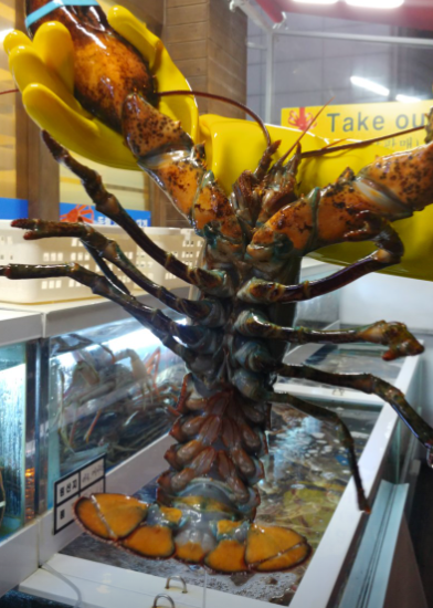 동해킹크랩대게 대표 메뉴