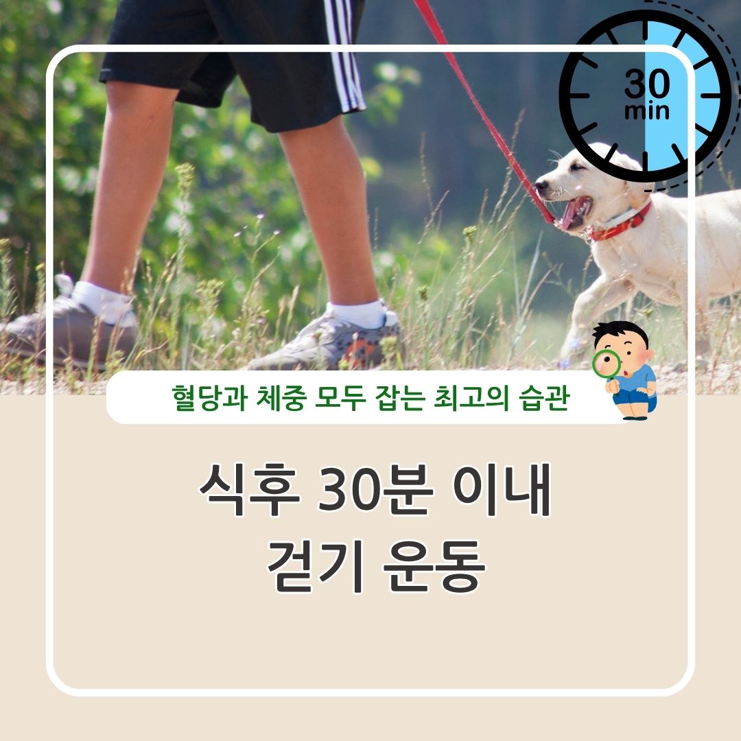 식사 후 걷기 운동 효과