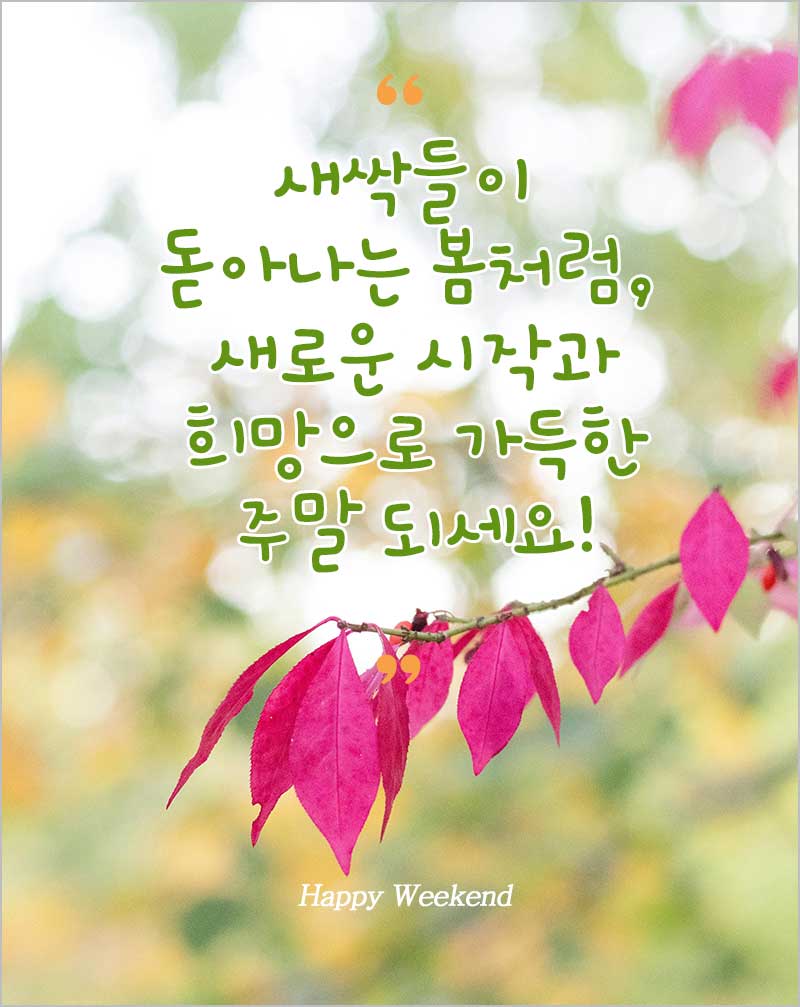 주말 인사말&amp;#44; 인사 이미지 모음-새싹들이 돋아나는 봄처럼&amp;#44; 새로운 시작과 희망으로 가득한 주말 되세요!