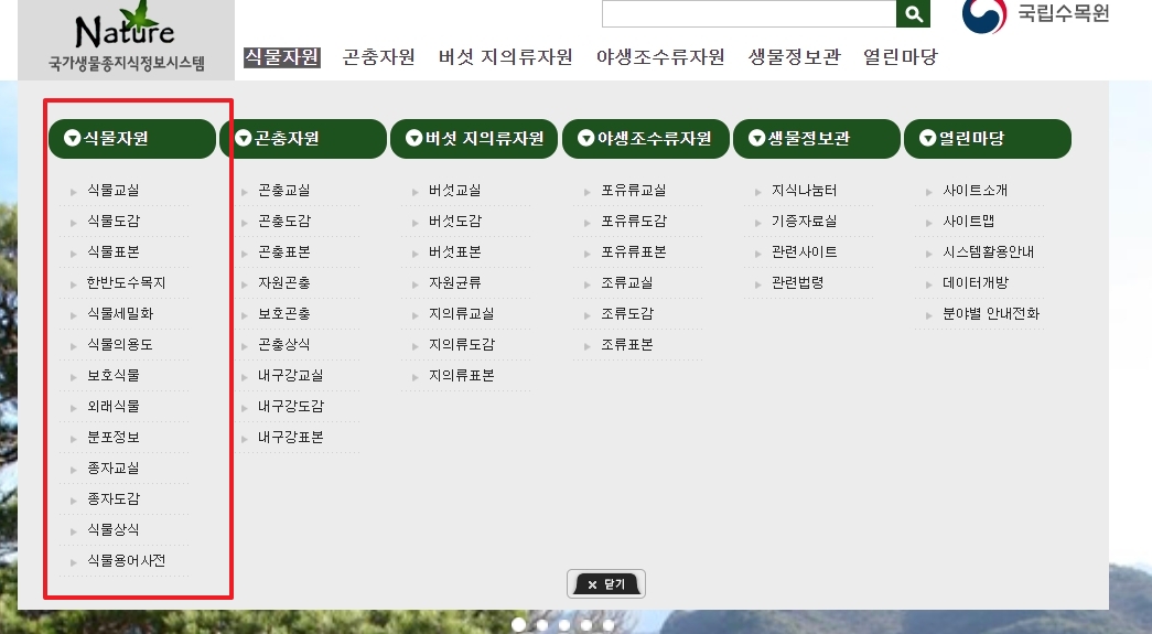 식물도감 메뉴 선택 화면