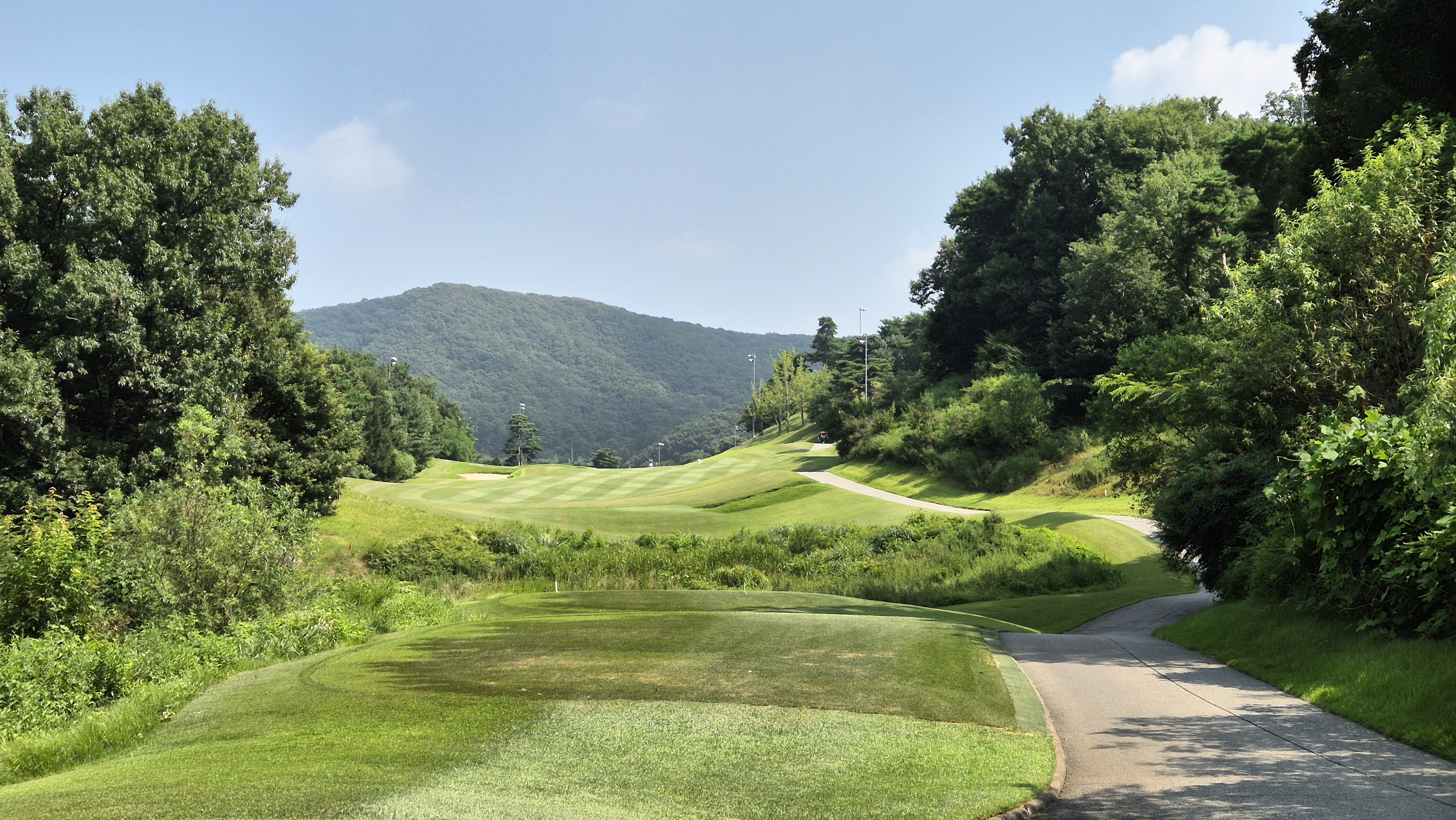 골프존카운티 안성H