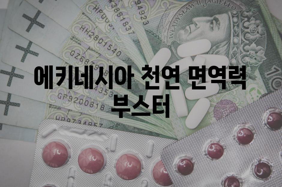 에키네시아 천연 면역력 부스터