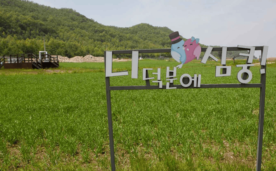 교동도