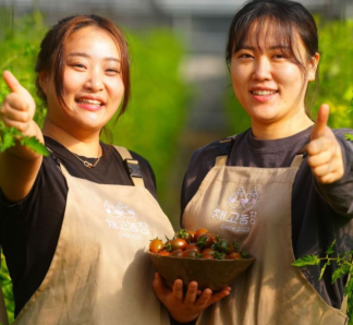 채고농장 흑방울토마토