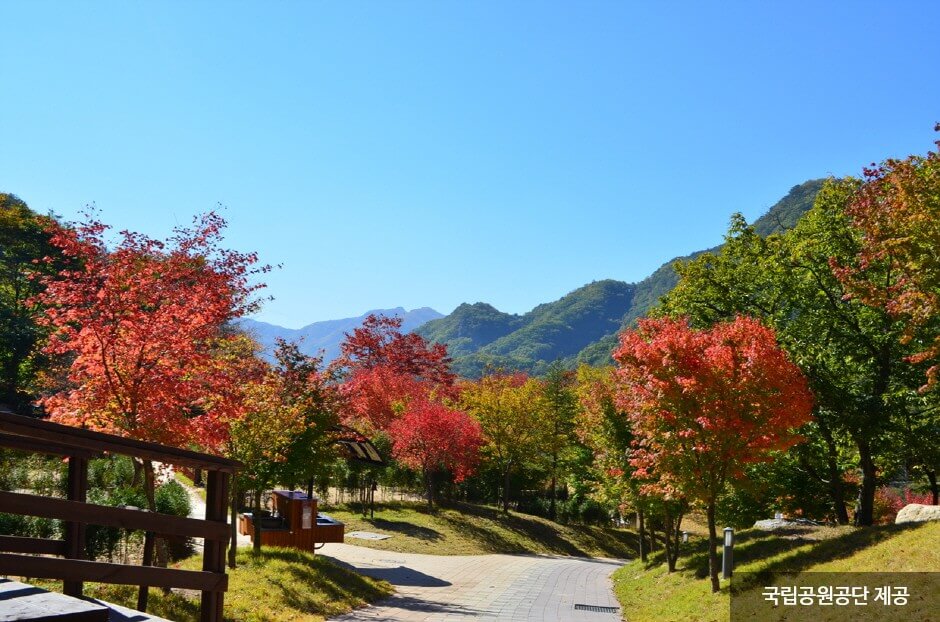 가을 여행지 단풍 놀이 추천 장소