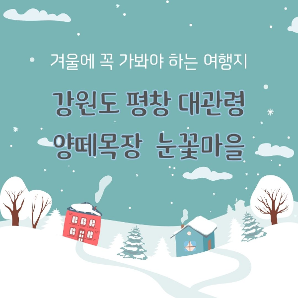 겨울에/꼭/가봐야/하는/여행지/강원도/평창
