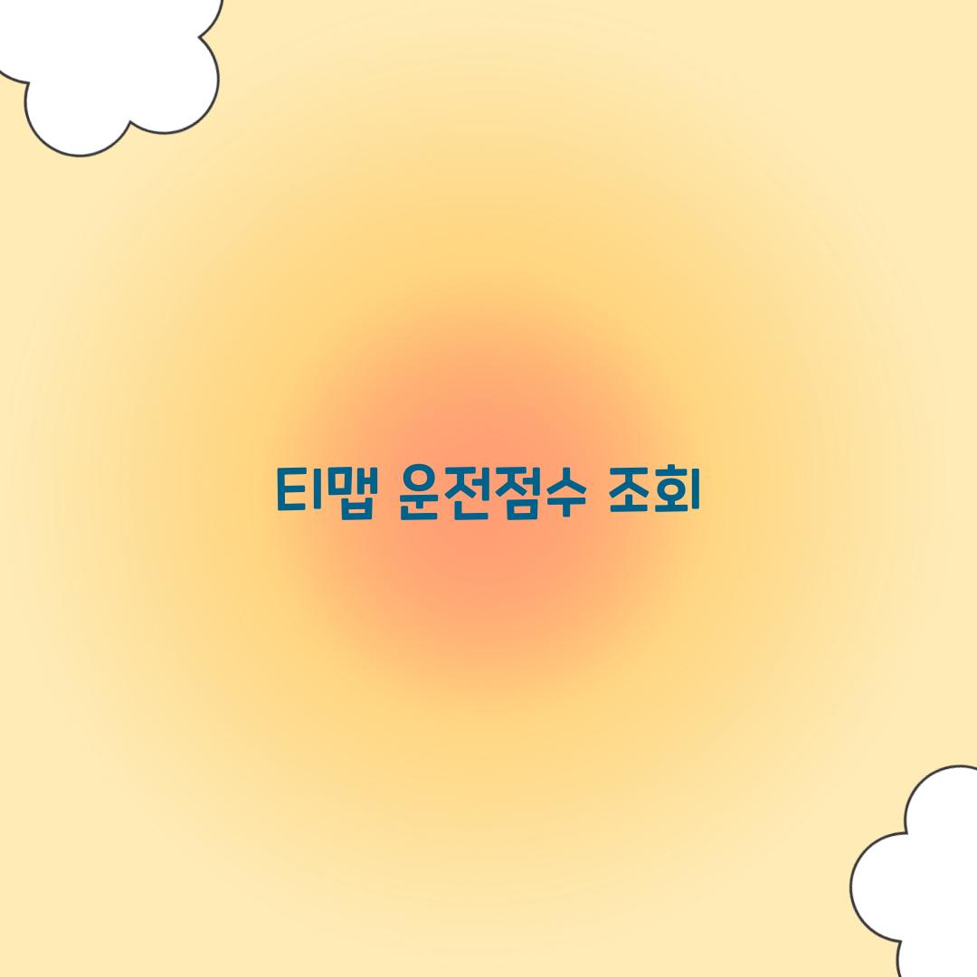 티맵 운전점수 조회