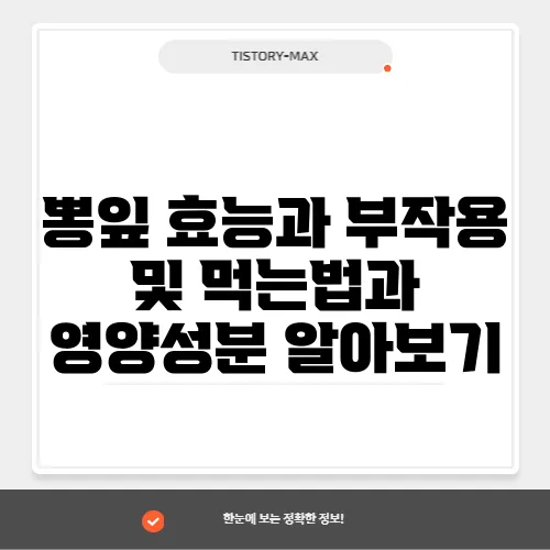 뽕잎 효능과 부작용 및 먹는법과 영양성분 알아보기
