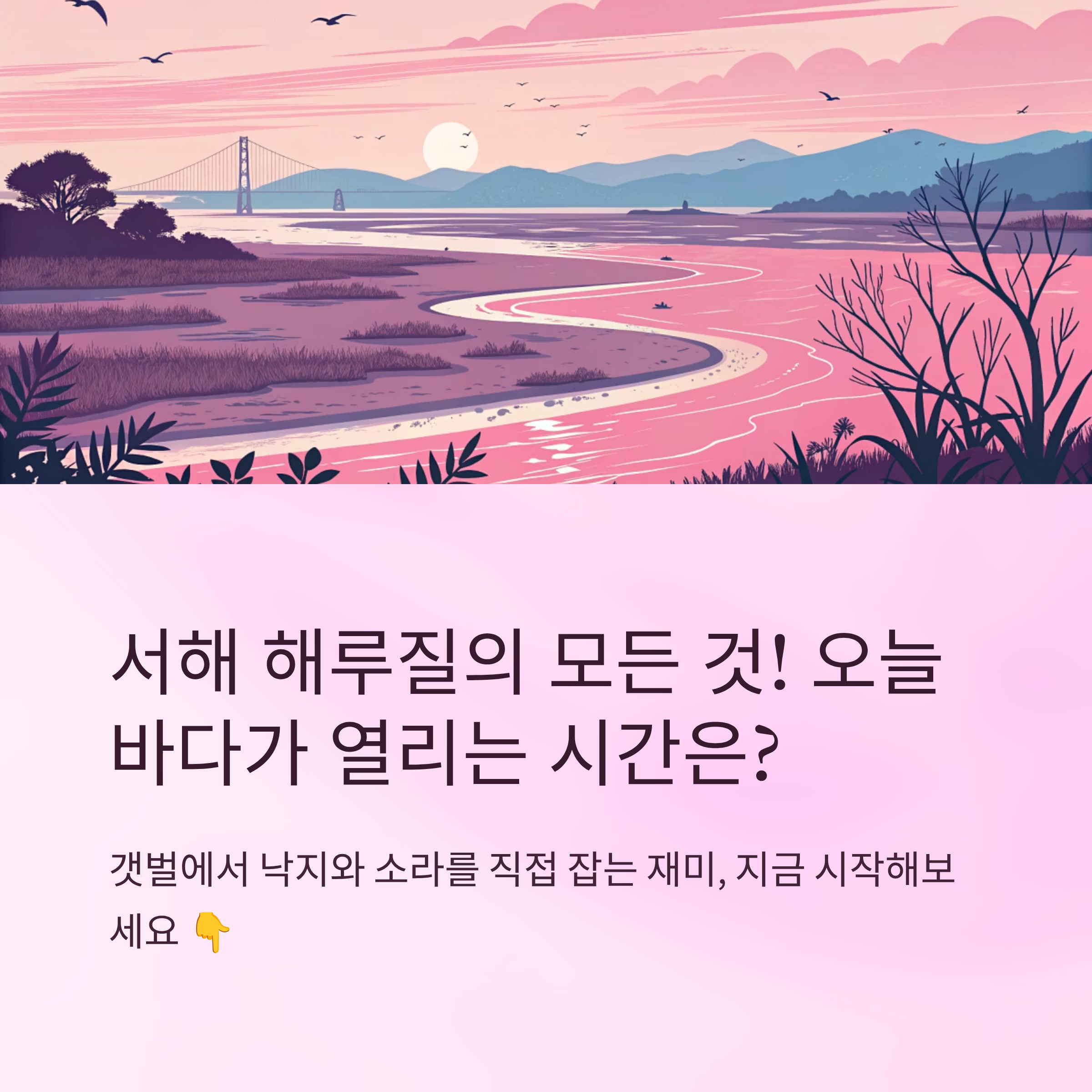 서해 물때표 오늘 해루질 가능할까