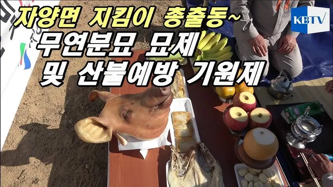 묘제 지내는 방법 순서 정리_3