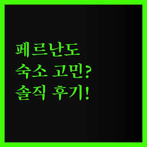 페르난도 데 노로냐 숙소 고민 끝! 