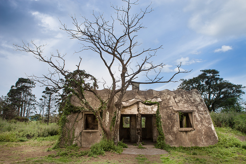 성이시돌 목장의 테쉬폰(Ctesiphon)_Photo by Kim Sunghwan(Artageo)