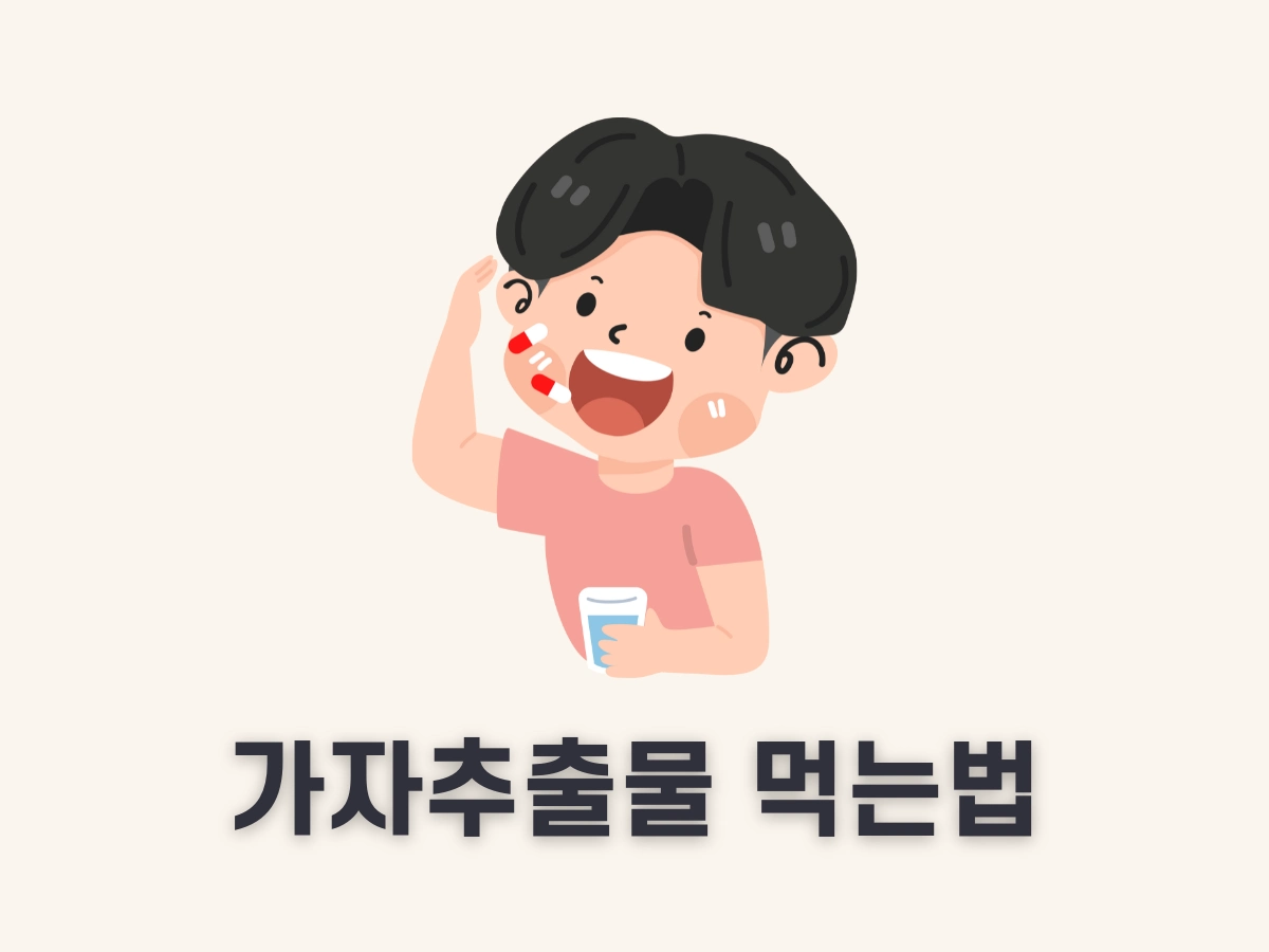 가자추출물 먹는법