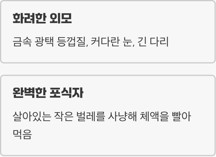 '길 위의 보석', 길앞잡이는 어떤 곤충?