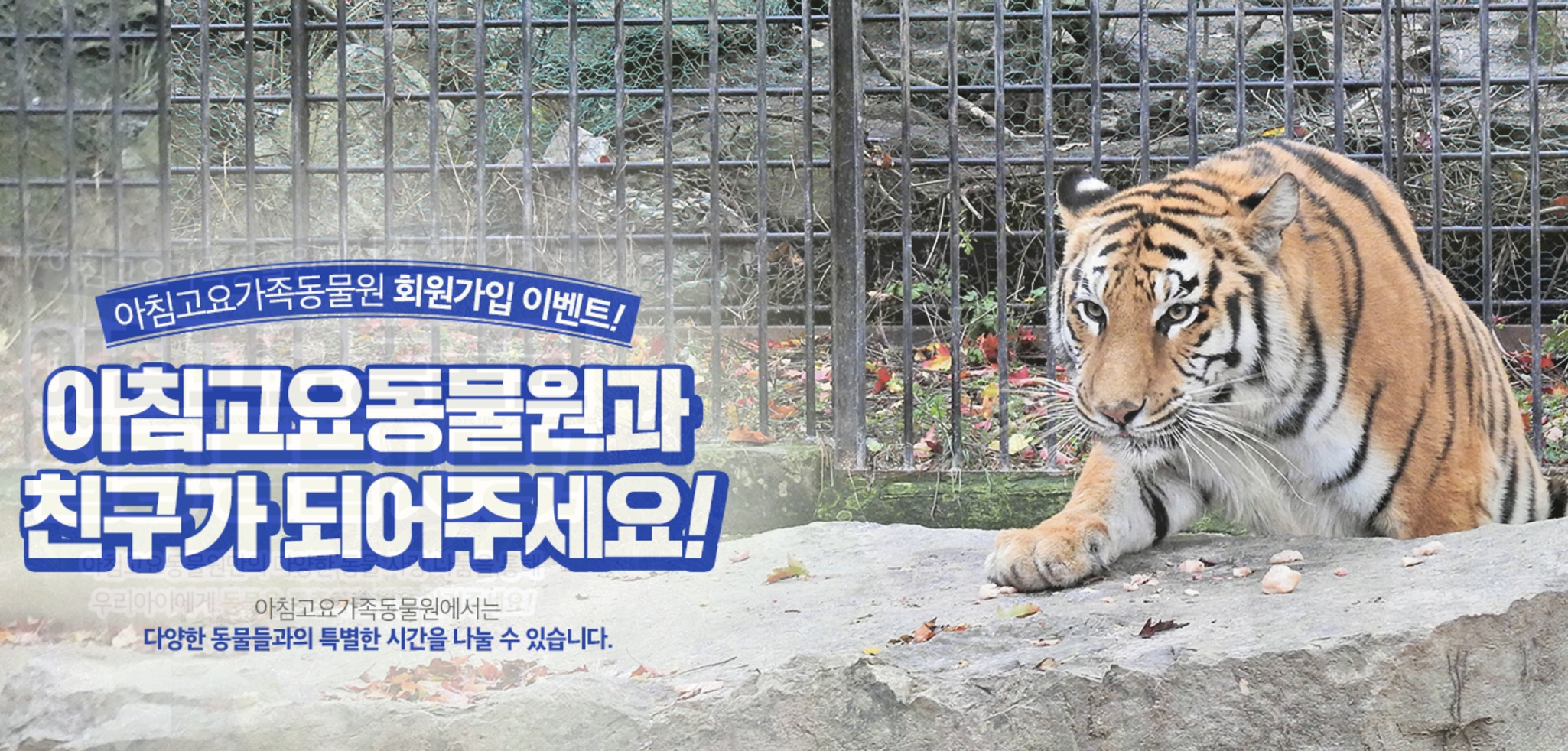 아침고요가족동물원