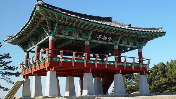 3월 서천 동백꽃 주꾸미 축제 완벽 가이드