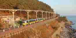 울진 죽변 해안 스카이레일 예약방법