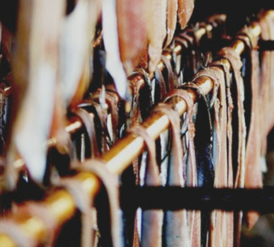 SBS ์๋ฐฉ์กํฌ๋ฐ์ด ํฌํญ ๊ณผ๋ฉ๊ธฐ๋์ฅ ์ผ์ถ๊ณผ๋ฉ๊ธฐ๋์ฅ ์๋ด