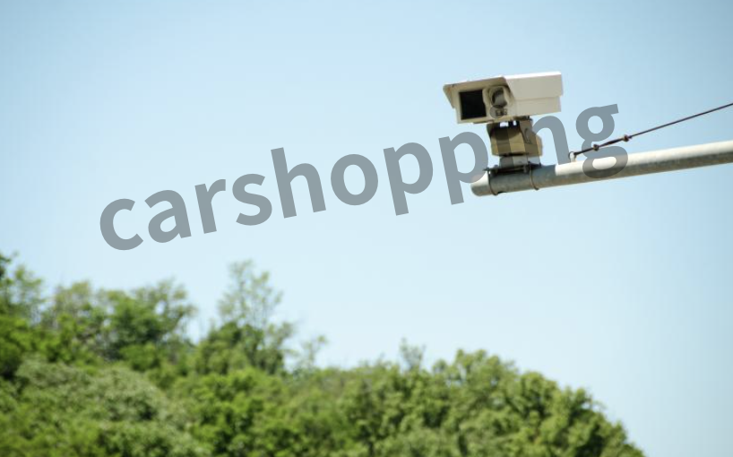 자동차365 번호판 조회