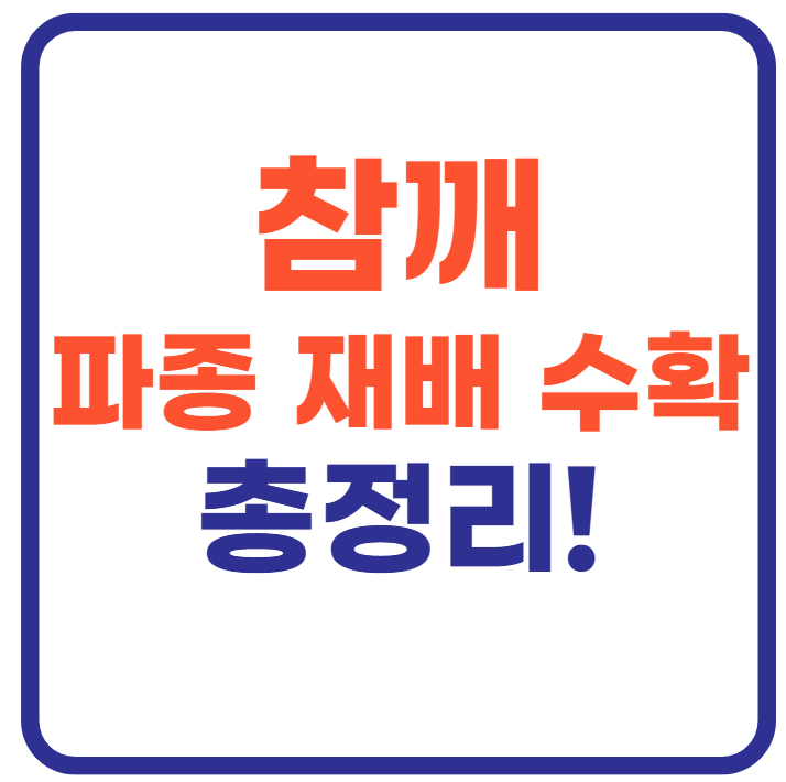 참깨 파종 재배 수확시기 총정리