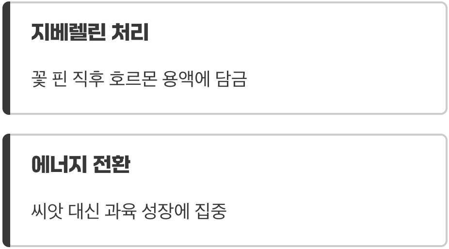 씨앗을 잠재우는 농부의 마법