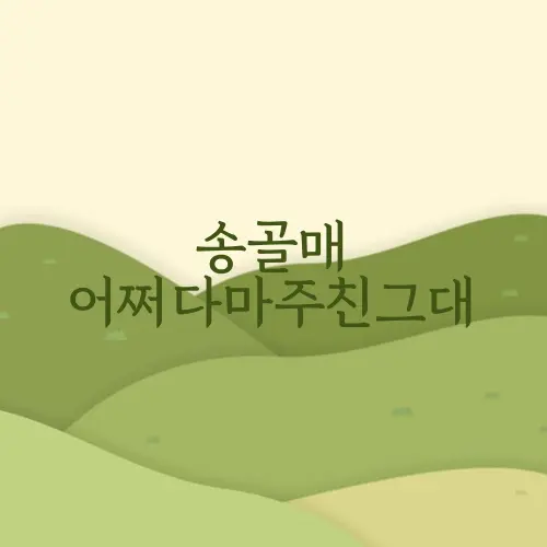 송골매 어쩌다마주친그대