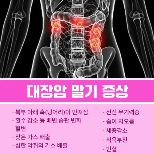 대장암 말기증상