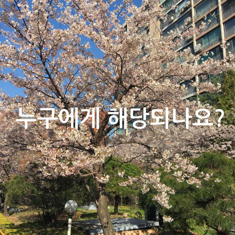 주택 임대차 계약 신고