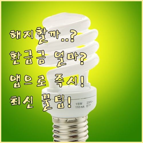 가입 보험사 앱으로 해지 환급금 실시..