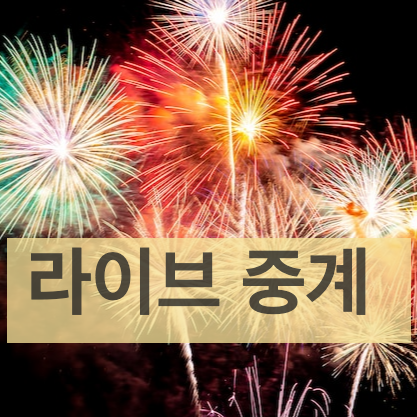 여의도 불꽃축제 2024 라이브 중계