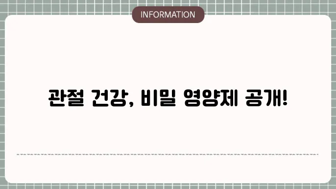 관절 영양제의 성분