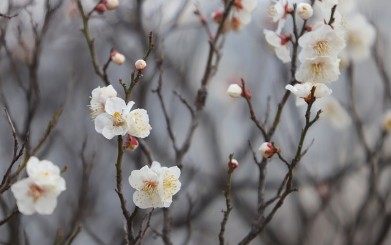 입춘대길 붙이는 시간 방법