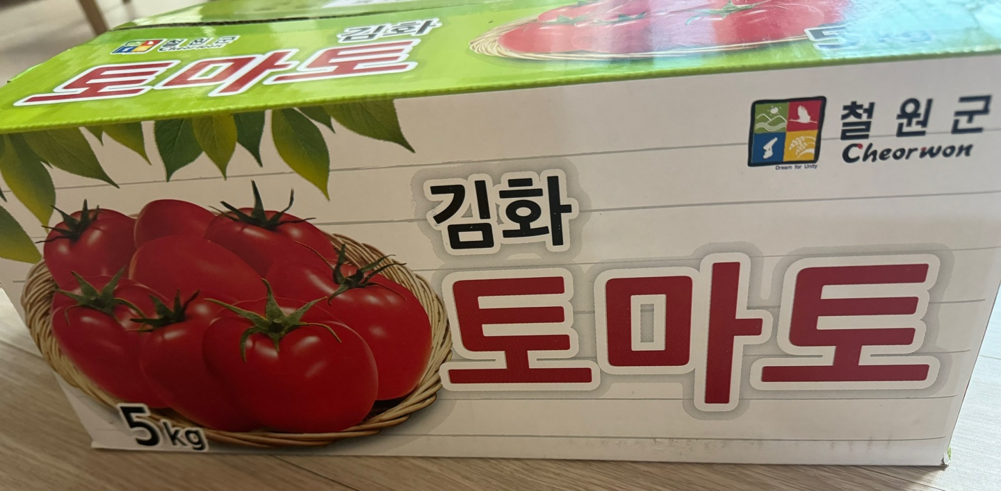 여름 제철 토마토 효능과 보관하는 방법