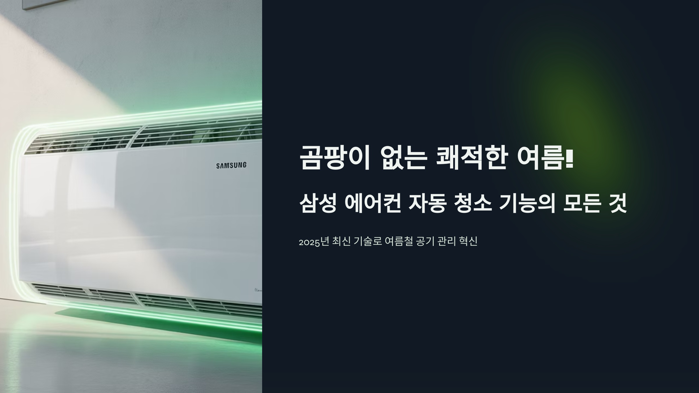 곰팡이 없는 쾌적한 여름!