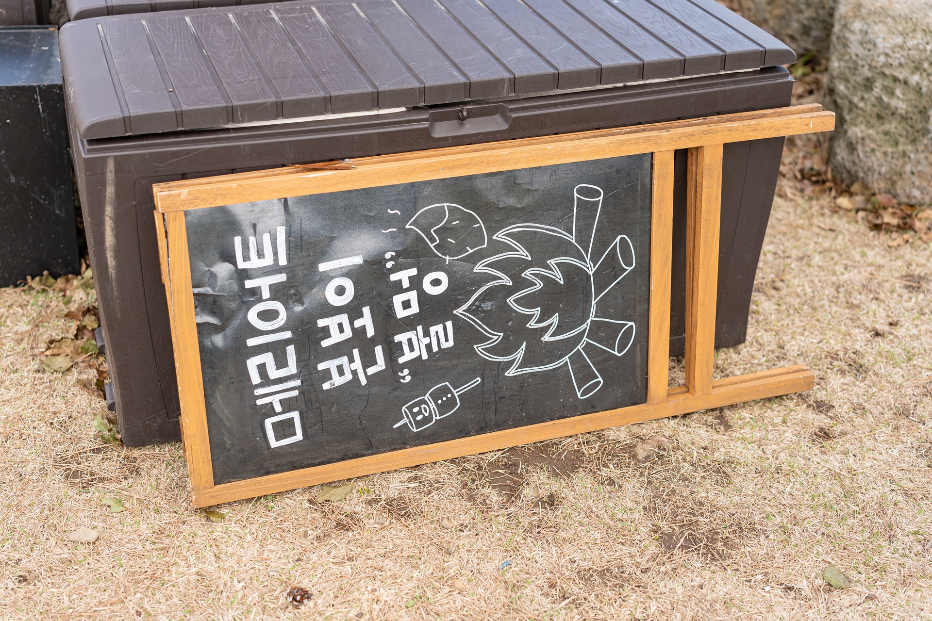 #JW가든 #JW메리어트제주 #댄싱두루미 #더플라잉호그 #아일랜드키친 #유채꽃 #제주사진 #제주여행 #제주유채꽃 #제주호텔