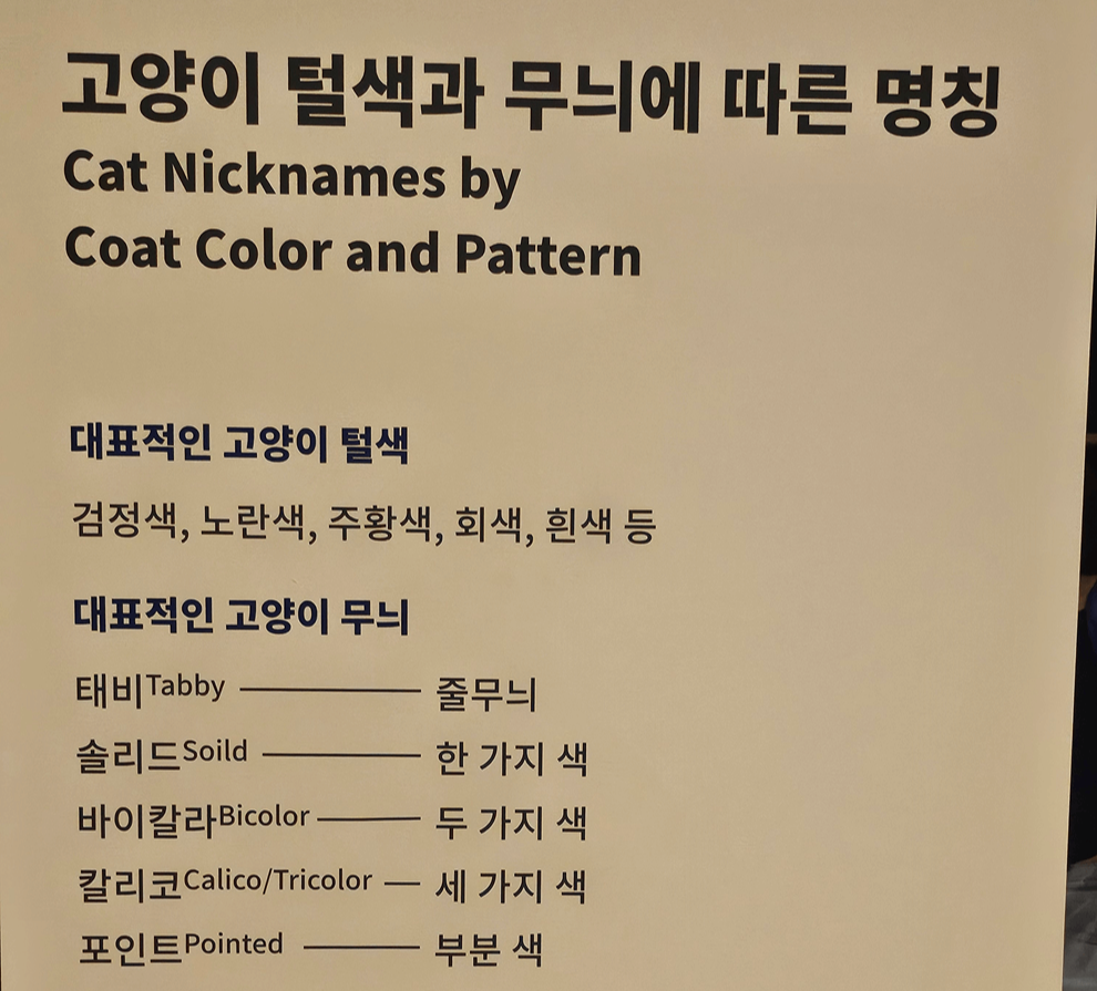 국립민속박물관, 고양이전시, 광화문전시, 종로전시, 추천전시, 어린이전시추천