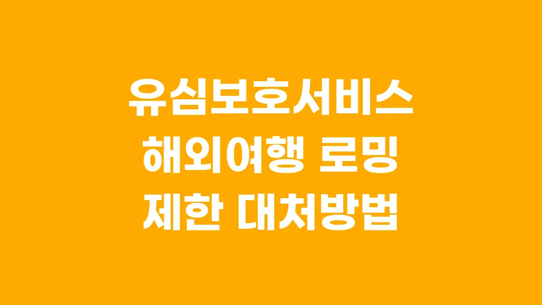 유심보호서비스 해외여행 로밍 제한 대처방법