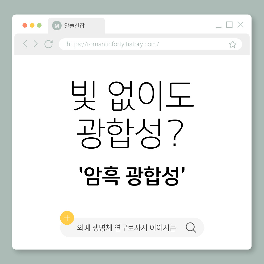 빛 없이도 광합성? 심해 미생물이 보여준 ‘암흑 광합성’ 현상의 비밀