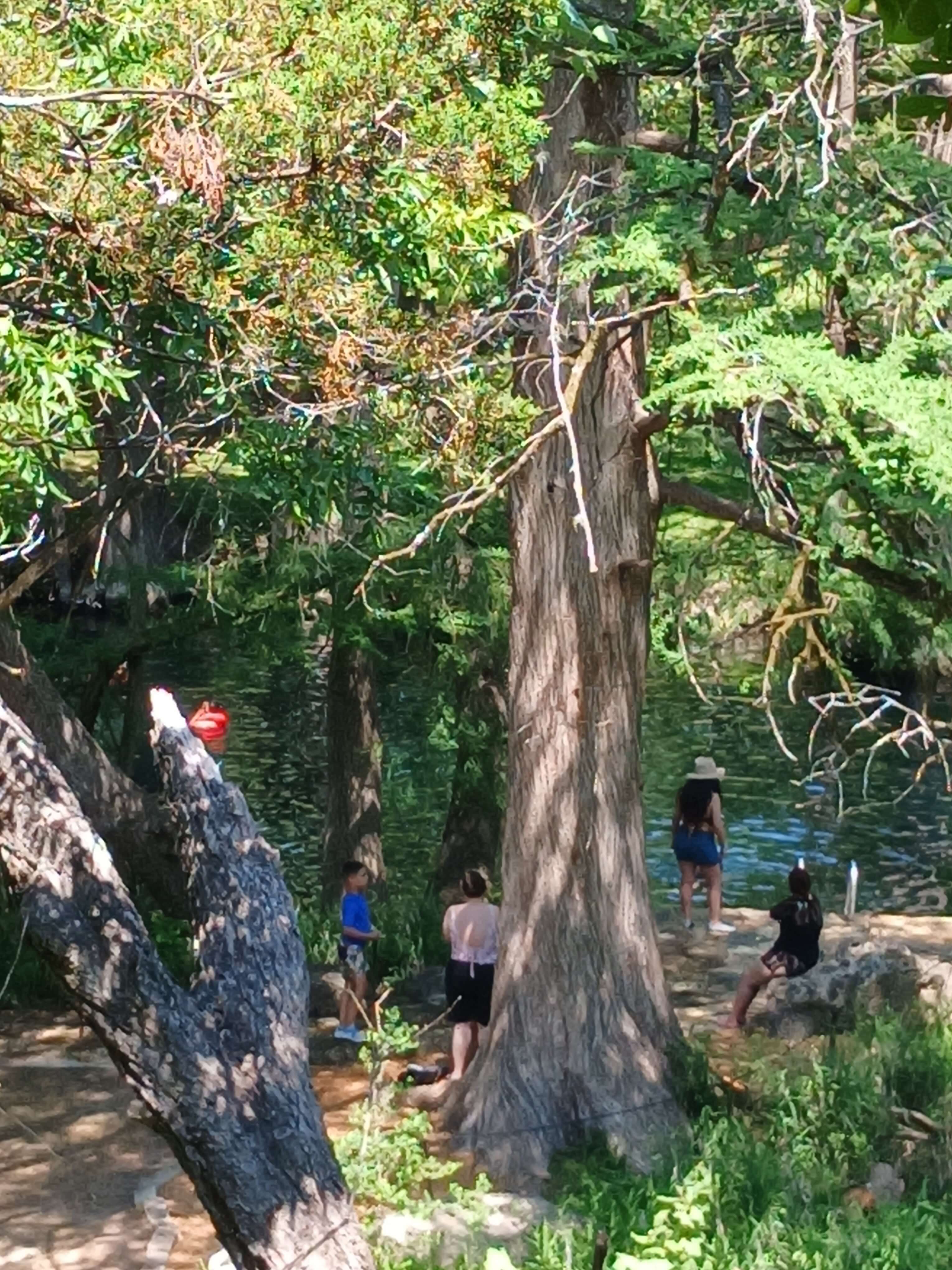 Blue Hole Regional Park 내 자연 수영장